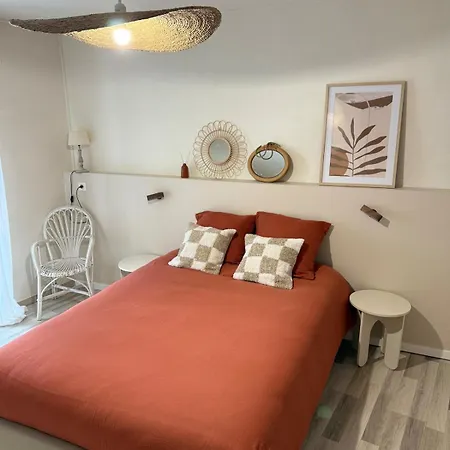 Le Cocon Colore - Centre ルルド